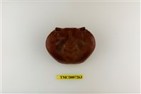 藏品(毛足特氏蟹)的圖片